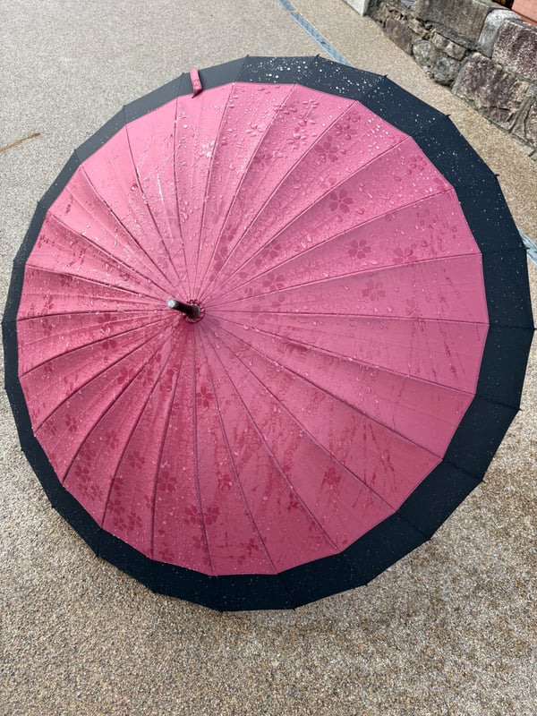 濡れたら桜が浮き出る傘　赤